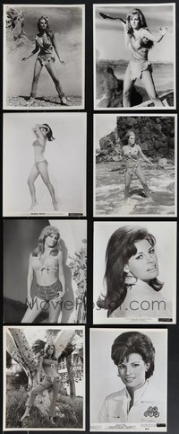 7d1169 LOT OF 8 1960S RAQUEL WELCH REPRO PHOTOS 1960s mostly wearing sexy skimpy outfits!