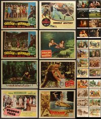 7d0778 LOT OF 32 TARZAN & JUNGLE LOBBY CARDS 1940s-1980s incomplete sets from several movies!