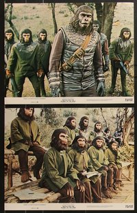 7f0643 BATTLE FOR THE PLANET OF THE APES 8 color 11x14 stills 1973 Roddy McDowall, sci-fi sequel!