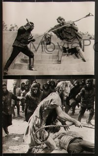 7f0852 PLANET OF THE APES 5 deluxe 9.5x11.75 stills 1968 great action scenes with Charlton Heston!