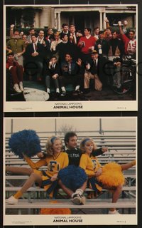 7f1523 ANIMAL HOUSE 4 8x10 mini LCs 1978 John Belushi w/ cheerleaders, Tim Matheson, frat house!