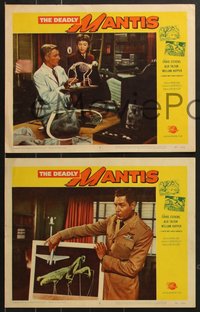 7f0839 DEADLY MANTIS 6 LCs 1957 Craig Stevens, William Hopper, Alix Talton, Universal sci-fi horror!