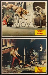 7f0800 SINBAD & THE EYE OF THE TIGER 8 LCs 1977 Patrick Wayne, Taryn Power, Jane Seymour, fantasy!