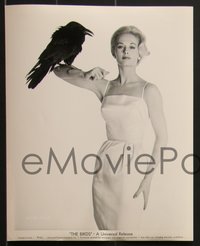 7j1156 BIRDS 6 8x10 stills 1963 Alfred Hitchcock, all great images of sexy Tippi Hedren!