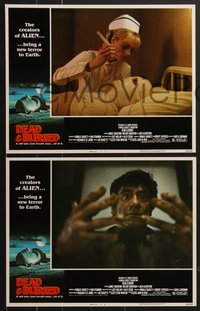 7j0828 DEAD & BURIED 8 LCs 1981 wild horror images, James Farentino, Melody Anderson!