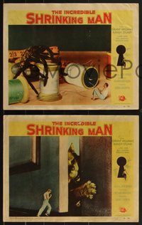 7j0926 INCREDIBLE SHRINKING MAN 4 LCs 1957 classic sci-fi, Williams, cool special effects images!