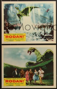 7j0884 RODAN 8 RKO LCs 1957 Ishiro Honda's Sora no Daikaiju Radon, The Flying Monster over Fukuoka!