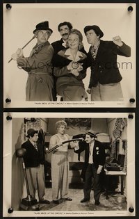 7p1547 AT THE CIRCUS 2 8x10 stills 1939 great images of Groucho, Chico & Harpo Marx!