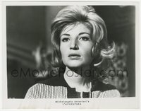 7p1393 L'AVVENTURA 8x10.25 still 1961 Michelangelo Antonioni, close up of beautiful Monica Vitti!