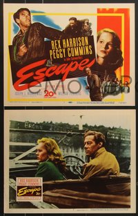 7p1060 ESCAPE 8 LCs 1948 Rex Harrison, pretty Peggy Cummins, prison escape!