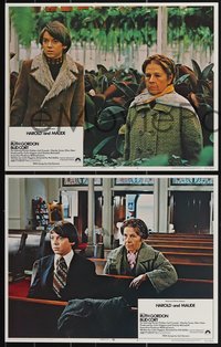 7p1085 HAROLD & MAUDE 8 LCs 1971 Ruth Gordon, Bud Cort is equipped to deal w/life, complete set!