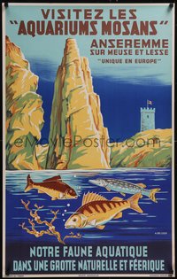 7r0174 AQUARIUMS MOSANS 25x39 Belgian travel poster 1930s De Loof art of fish and tower, ultra rare!