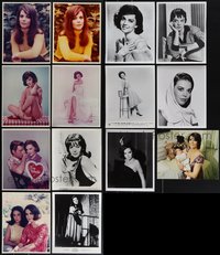 7s0901 LOT OF 14 NATALIE WOOD REPRO PHOTOS 1980s great portraits of the beautiful star!