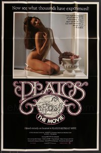 7s0229 LOT OF 24 FOLDED PLATO'S THE MOVIE ONE-SHEETS 1980 watch her go through 21 guys!