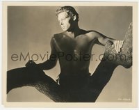 7t1288 TARZAN & HIS MATE 8x10.25 still 1934 great posed portrait of Johnny Weissmuller in a tree!