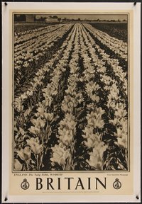 7x0835 BRITAIN linen 20x30 English travel poster 1950s the Tulip Fields in Wisbech, ultra rare!