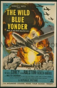 WILD BLUE YONDER 1sheet