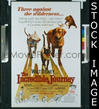 INCREDIBLE JOURNEY 1sheet