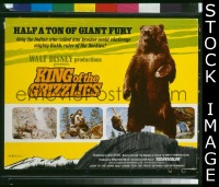 #360 KING OF THE GRIZZLIES TC '70 Walt Disney 