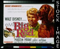 BIG RED TC '62 Disney, Pigeon 