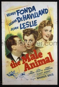 MALE ANIMAL 1sheet