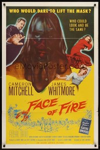 Face Of Fire NZ03360 L